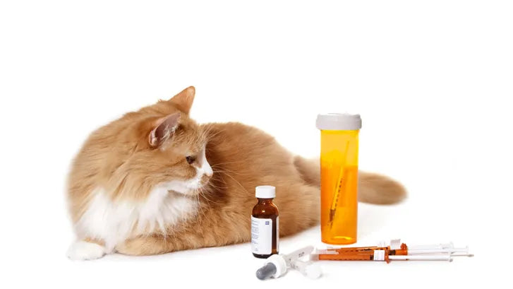 Medication Administration