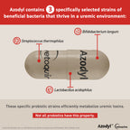 Vetoquinol Azodyl Kidney Support Probiotic Capsules for Dogs & Cats, 90 ct