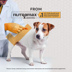Nutramax Filaquin Anal Gland Supplement Soft Chews for Dogs, 132 ct