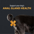 Nutramax Filaquin Anal Gland Supplement Soft Chews for Dogs, 132 ct