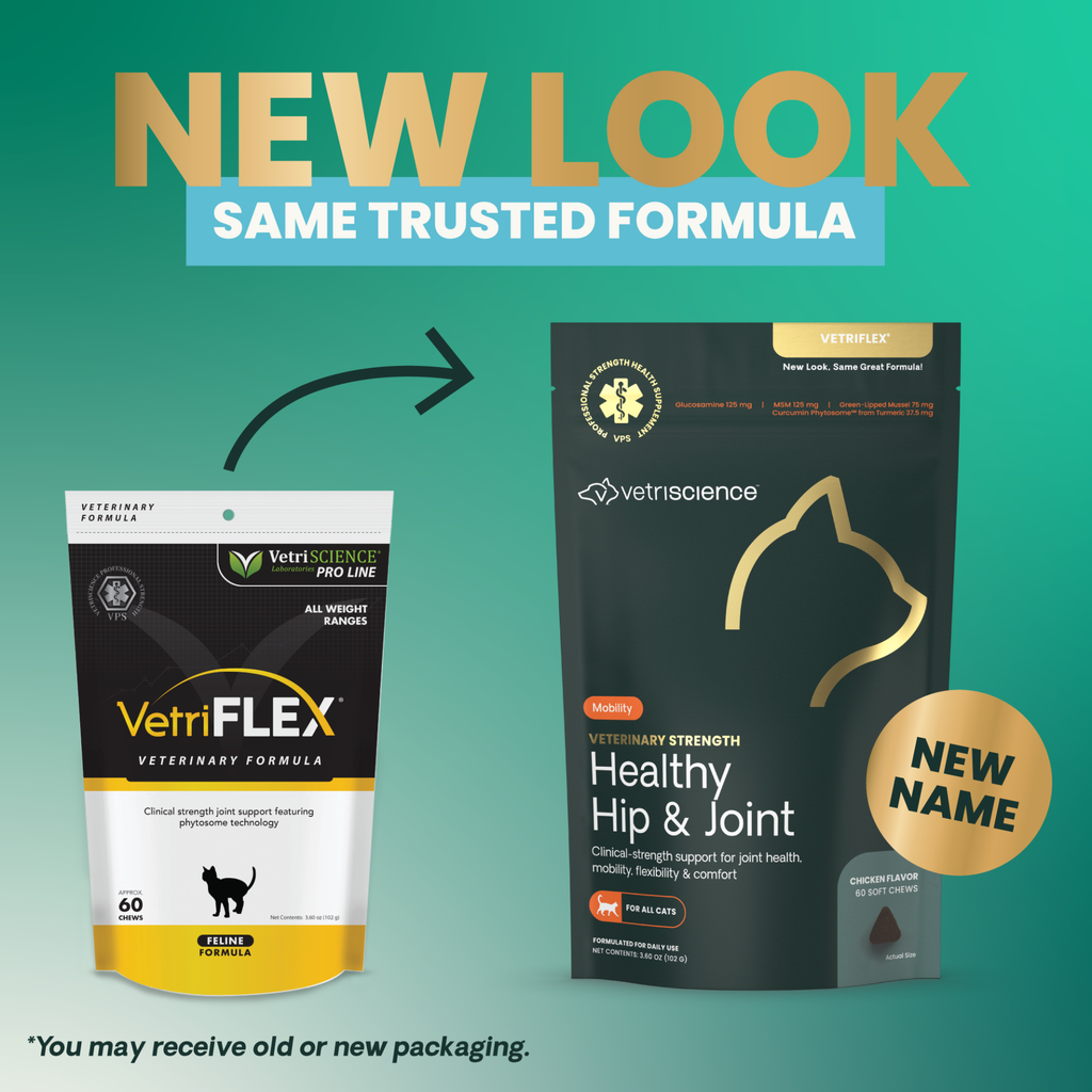 Vetriscience Veterinary Strength Healthy Hip & Joint (VetriFlex) Chews for Cats, 60ct