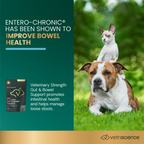 VetriScience Gut & Bowel Support Soft Chews for Dogs & Cats, 60 ct
