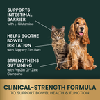 VetriScience Gut & Bowel Support Soft Chews for Dogs & Cats, 60 ct