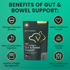 VetriScience Gut & Bowel Support Soft Chews for Dogs & Cats, 60 ct