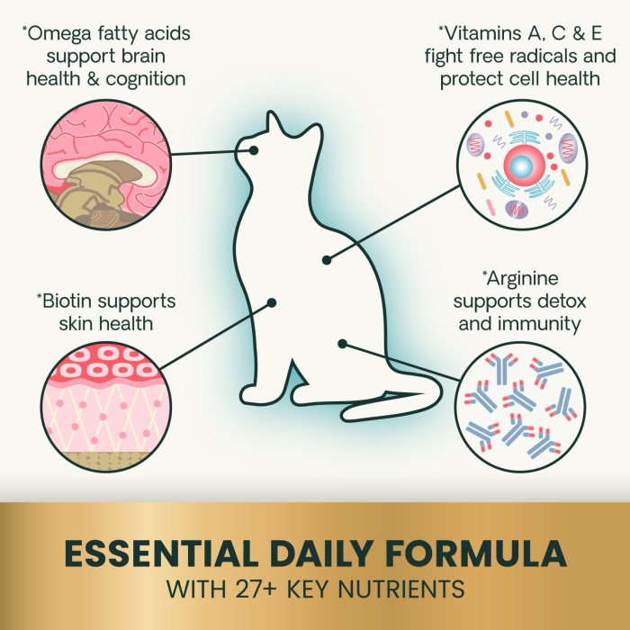 VetriScience 27+ Active Health (NuCat) Multivitamin Chews for Cats, 30ct