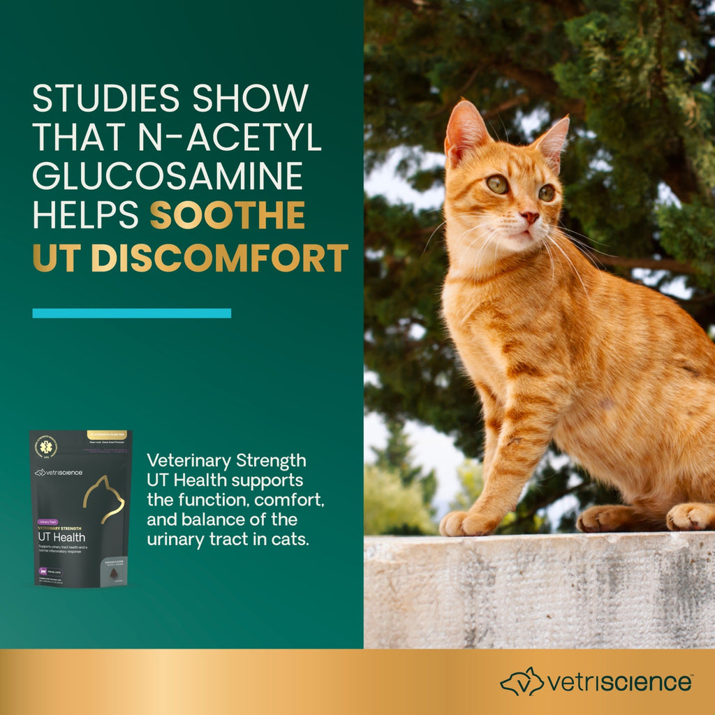Veterinary Strength Urinary Tract Health (UT Strength Feline Pro) Soft Chews for Cats, 90ct