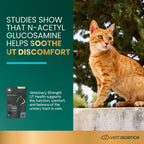 VetriScience UT Strength Feline Pro Urinary Tract Soft Chews for Cats, 90 ct