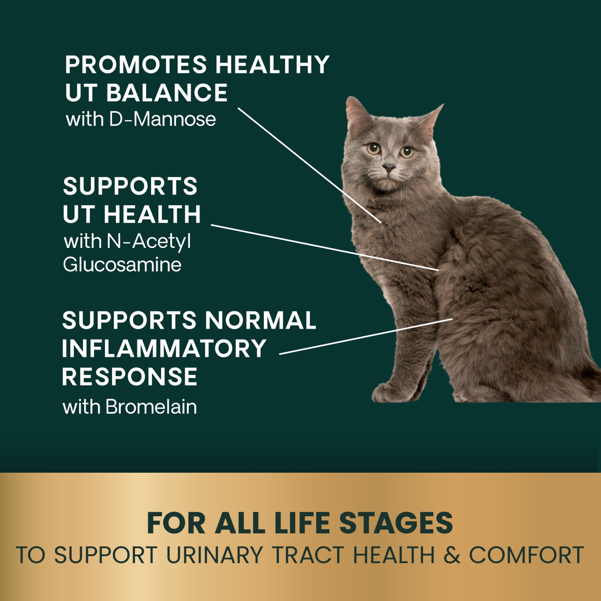 Veterinary Strength Urinary Tract Health (UT Strength Feline Pro) Soft Chews for Cats, 90ct