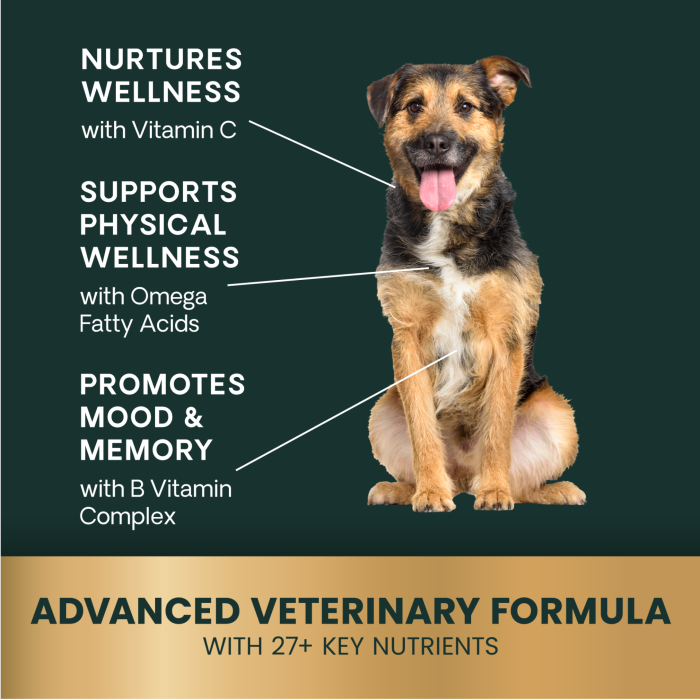 Veterinary Strength 27+ Active Health Chews for Dogs, 60ct