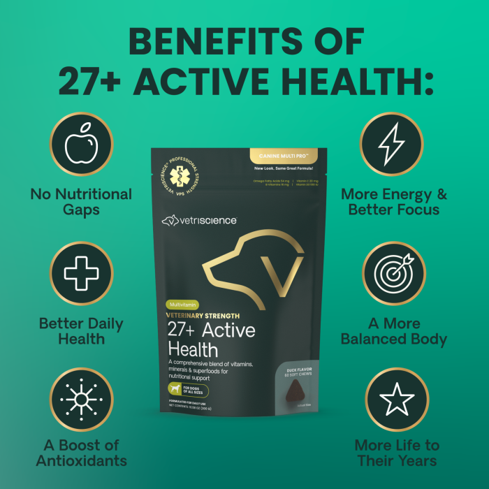 Veterinary Strength 27+ Active Health Chews for Dogs, 60ct
