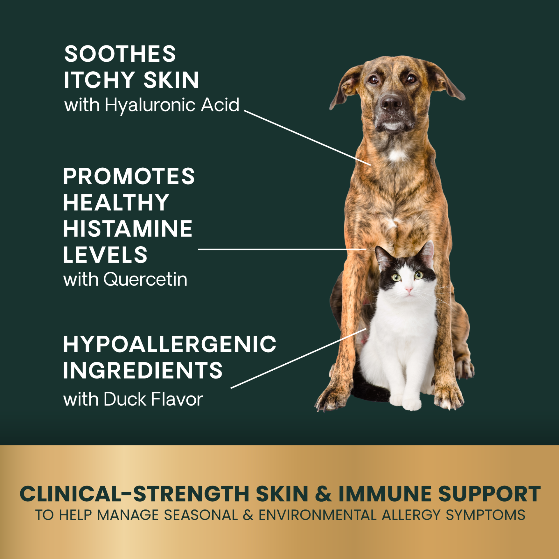 Veterinary Strength Allergy & Itch Support for Cat & Dogs, 90ct bag