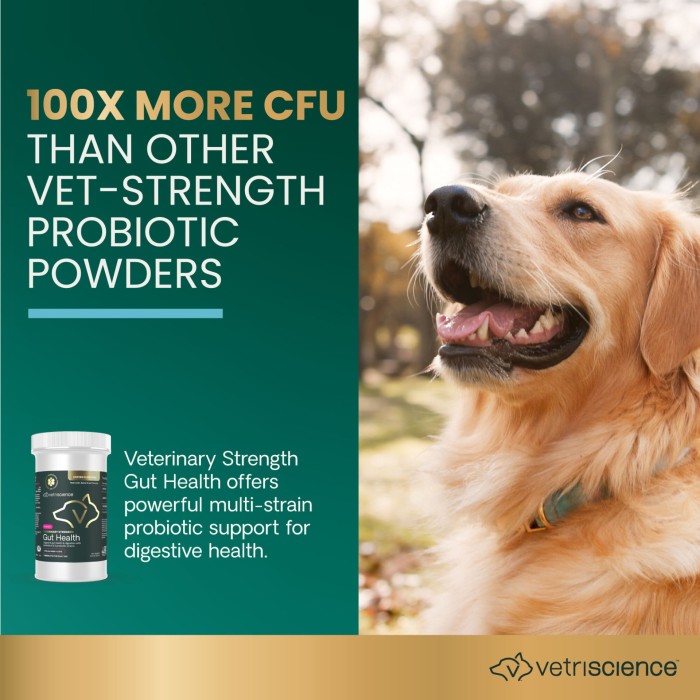 Entero Flora PRO Powder for Cats and Dogs,  60g Jar