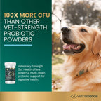 VetriScience Entero Flora Pro Probiotic Powder for Dogs & Cats, 60 g