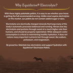 Equithrive Electrolyte Pellets for Horses