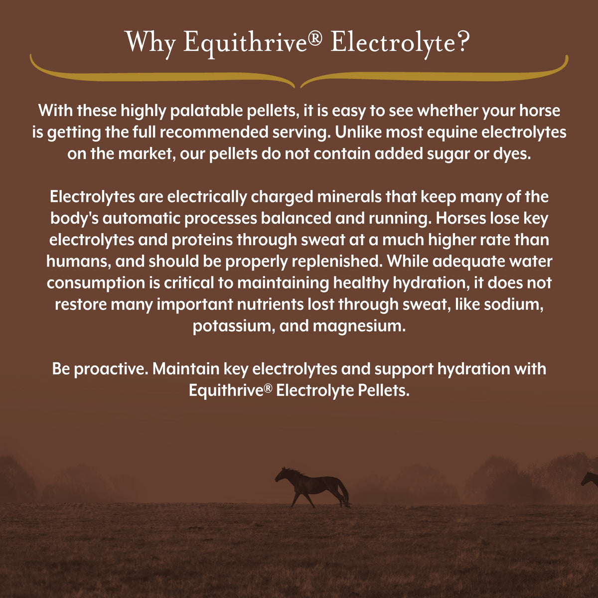 Equithrive Electrolyte Pellets for Horses