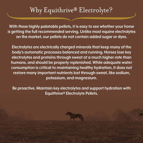 Equithrive Electrolyte Pellets for Horses