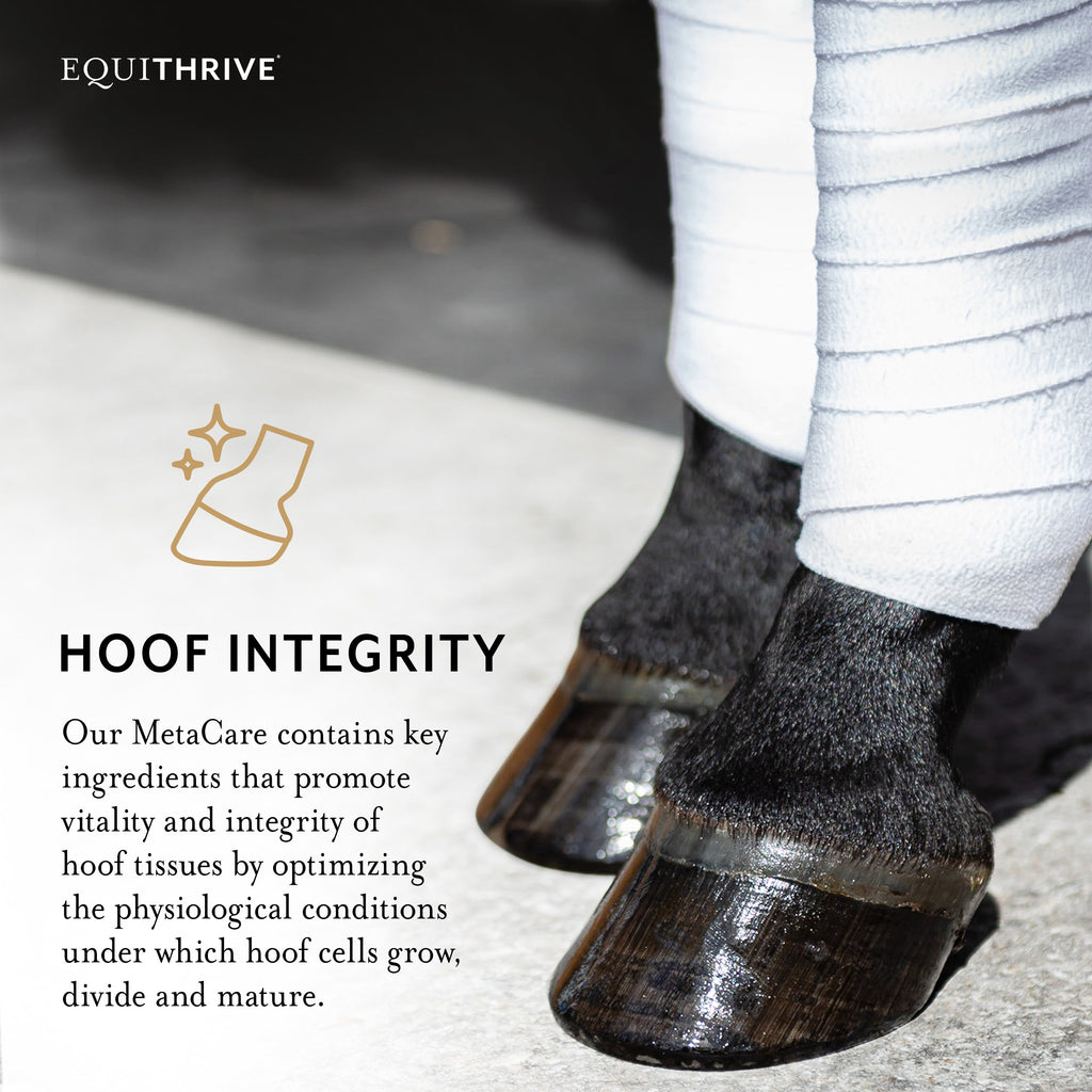 Equithrive MetaCare Metabolic Support Pellets for Horses