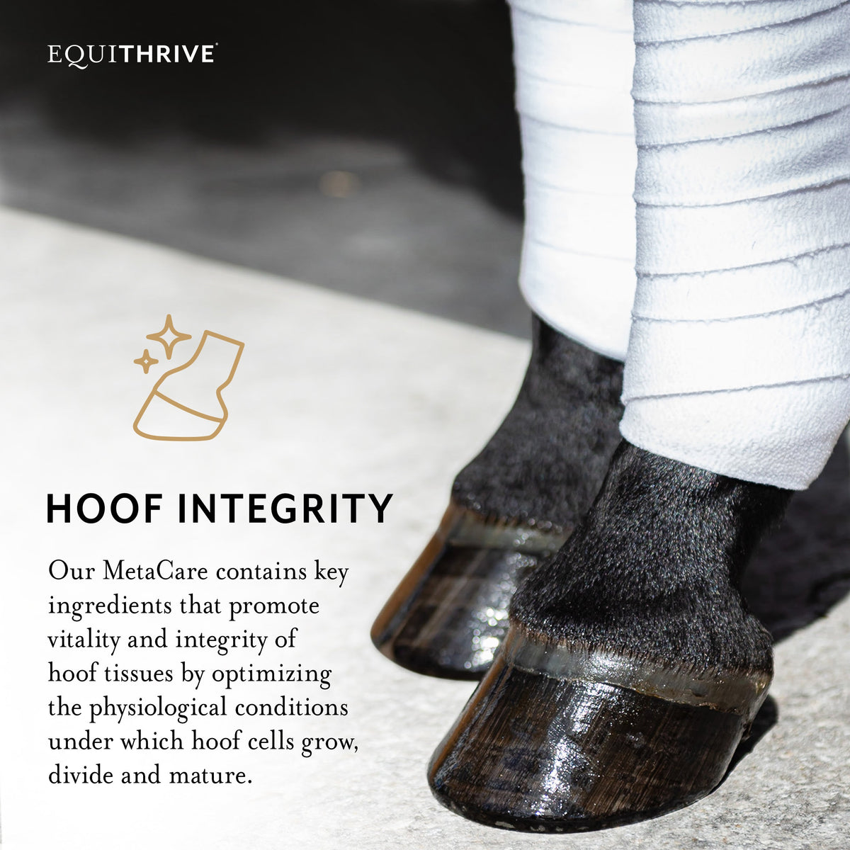 Equithrive MetaCare Metabolic Support Pellets for Horses