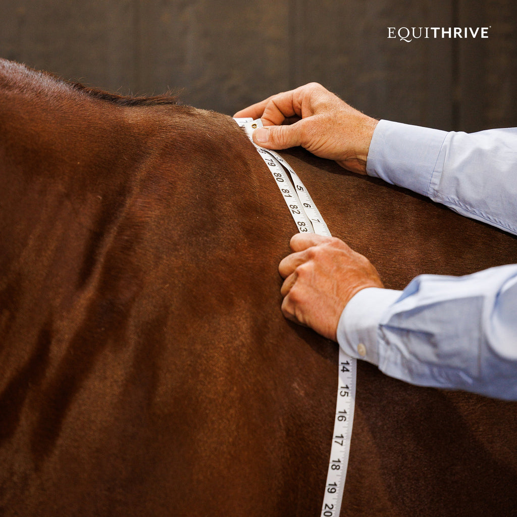Equithrive MetaCare Metabolic Support Pellets for Horses