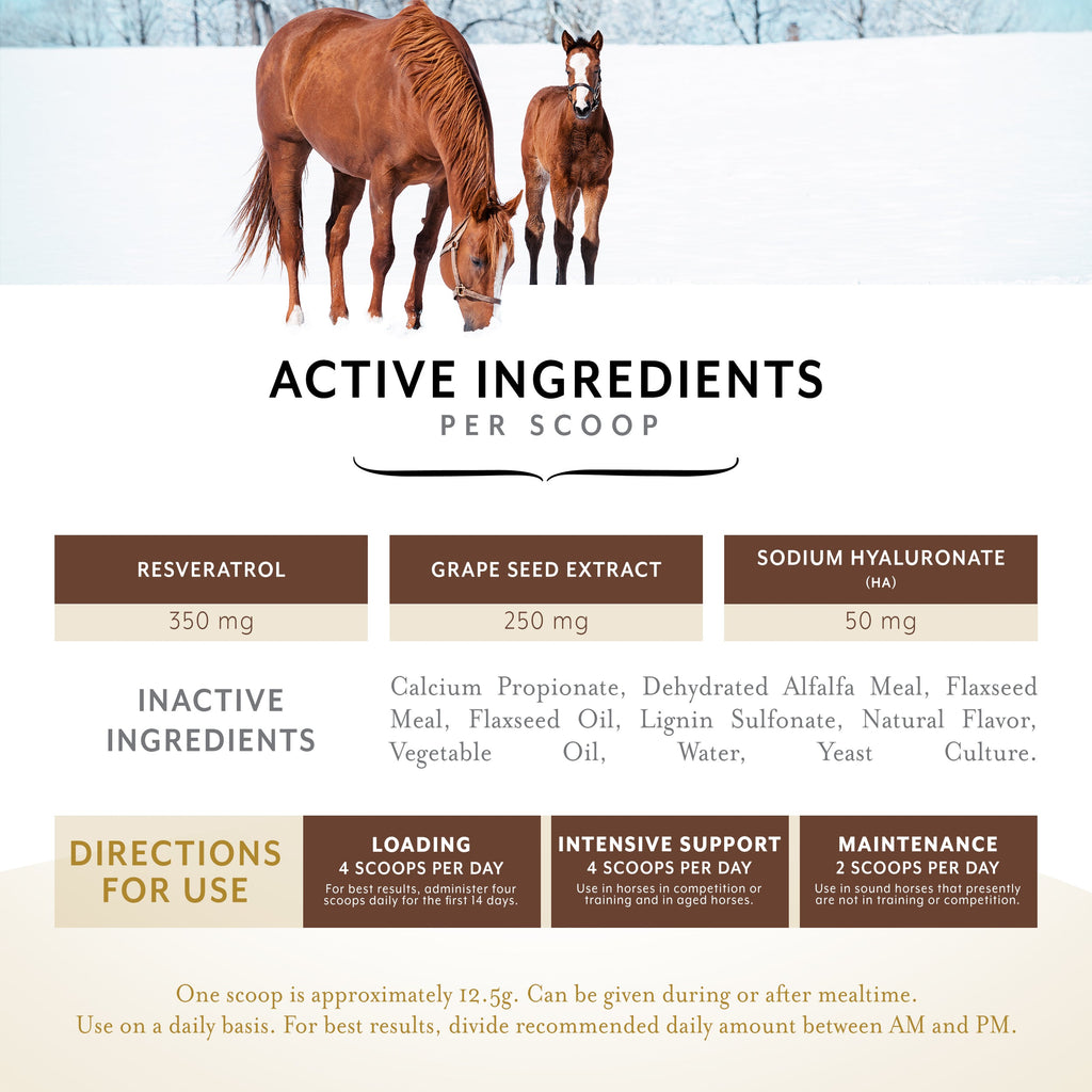 Equithrive Original Joint Pellets for Horses