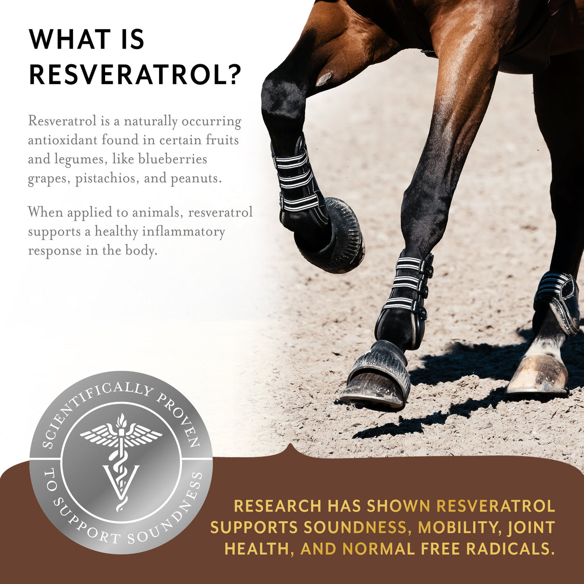 Equithrive Original Joint Pellets for Horses