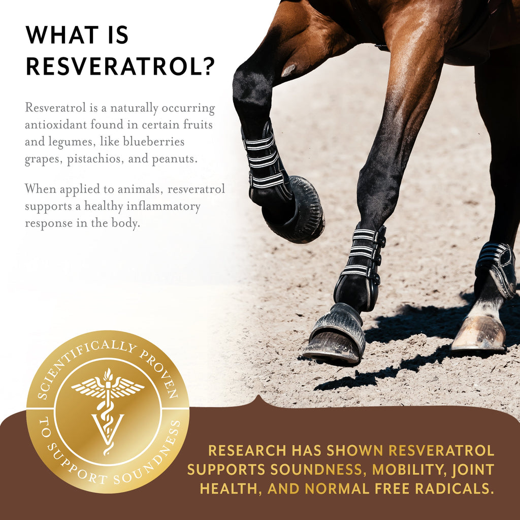 Equithrive Resveratrol+ Joint Pellets for Horses
