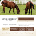 Equithrive Metabarol Metabolic Support Powder for Horses