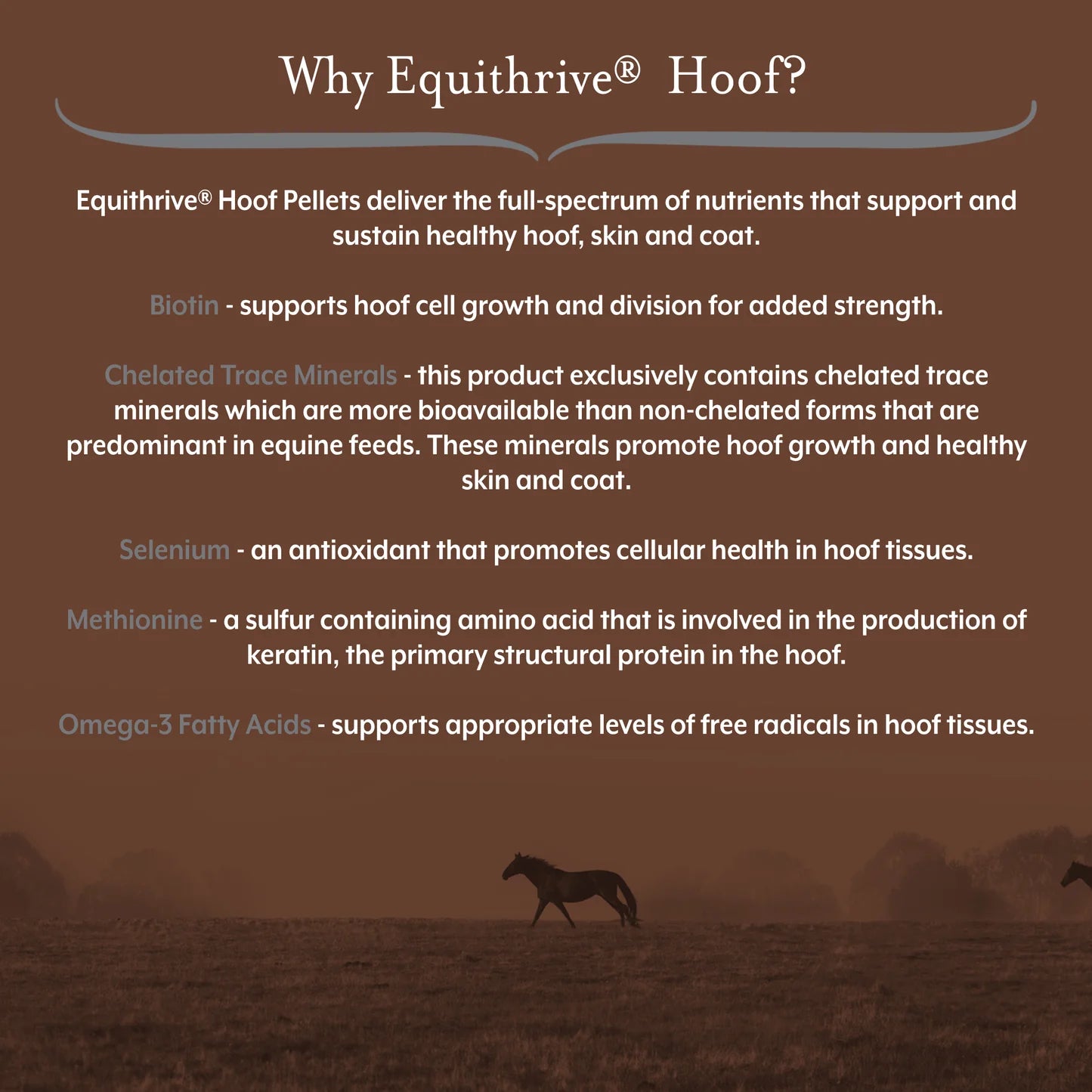 EquiThrive Hoof Pellets