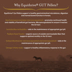 Equithrive Gut Digestive Support Pellets for Horses