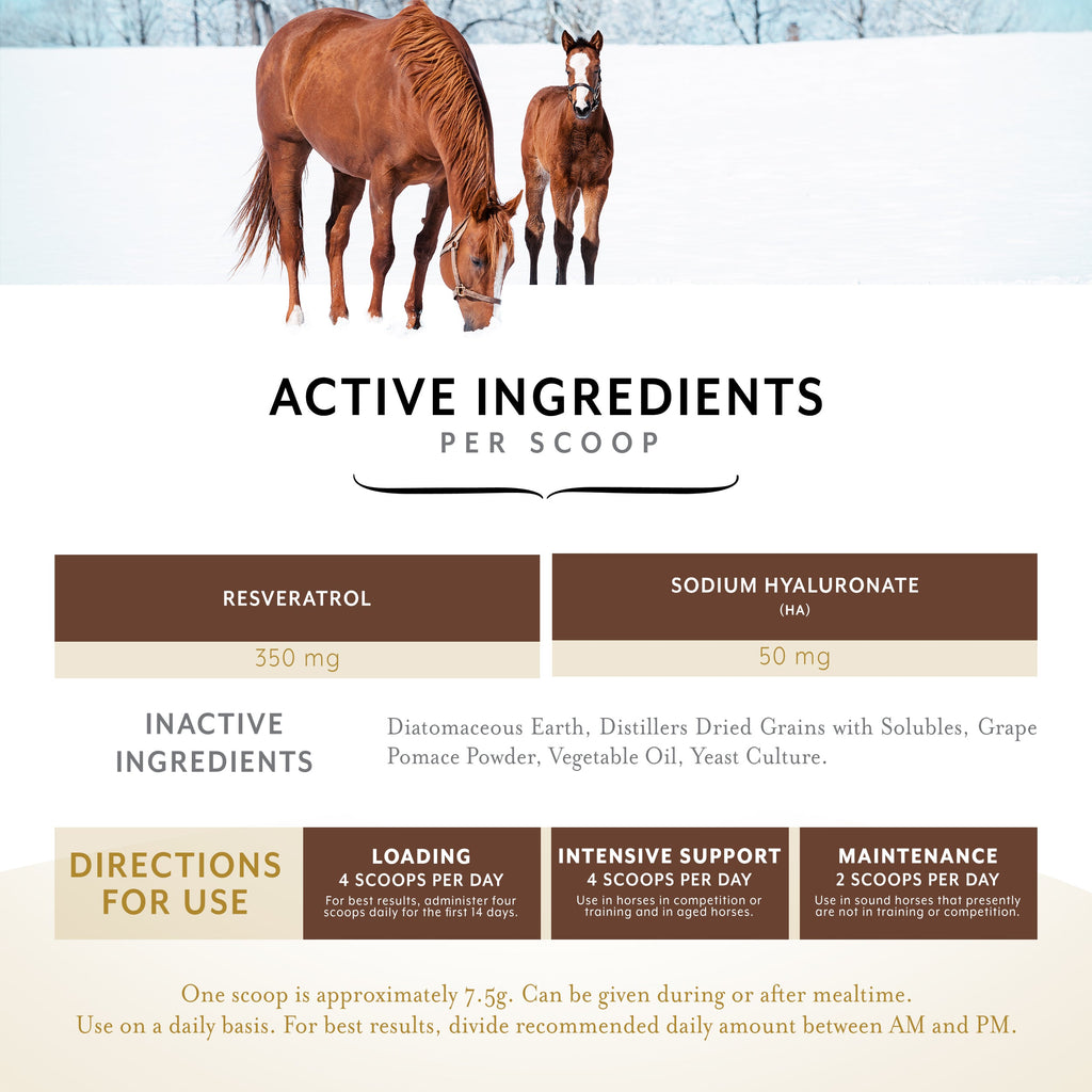 Equithrive Original Joint Powder for Horses