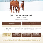 Equithrive Original Joint Powder for Horses, Molasses Flavor