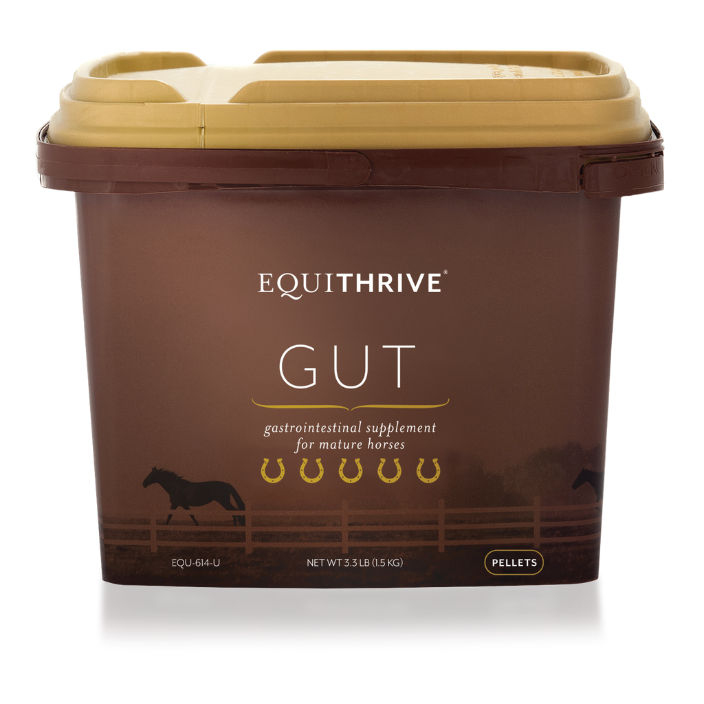 Equithrive Gut Digestive Support Pellets for Horses