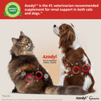 Vetoquinol Azodyl Kidney Support Probiotic Capsules for Dogs & Cats, 90 ct