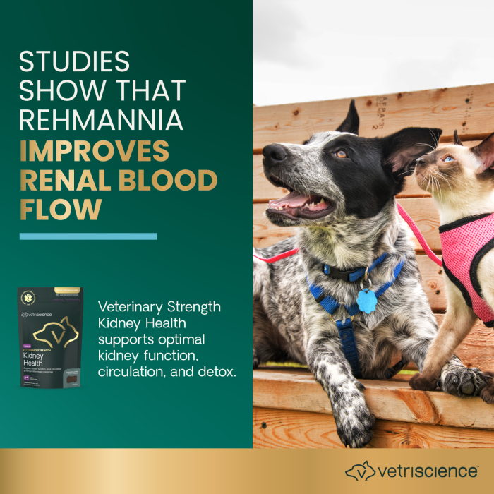 Veterinary Strength Kidney Health Chews for Dogs & Cats, 60ct