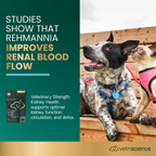 VetriScience Renal Essentials Kidney Support Chews for Dogs & Cats, 60 ct