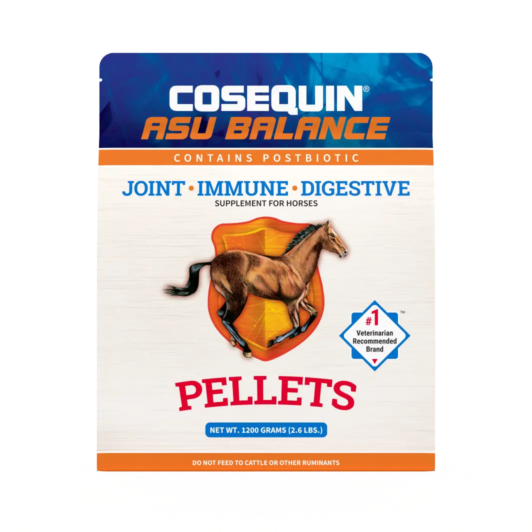 Nutramax Cosequin ASU Balance Equine Pellets: 1200g