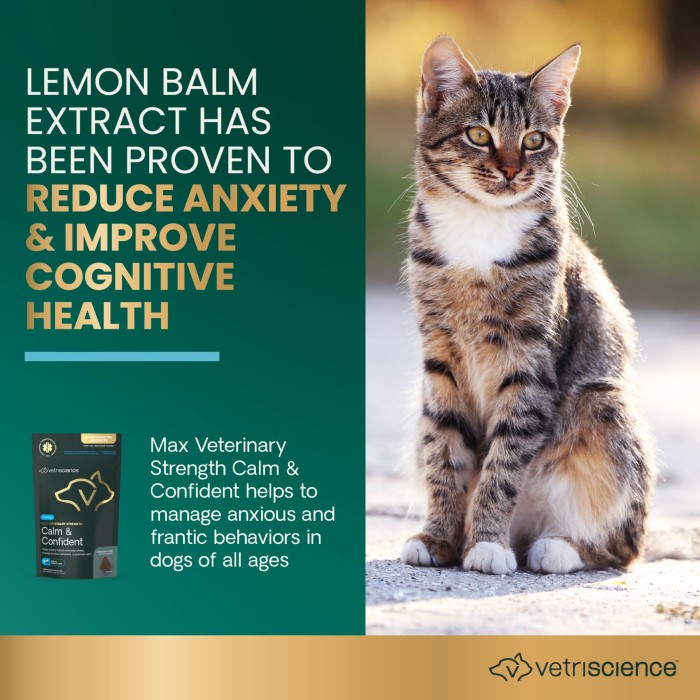 VetriScience Max Veterinary Strength Calm & Confident (Composure Pro Advanced) Soft Chew for Dogs & Cats, 45ct