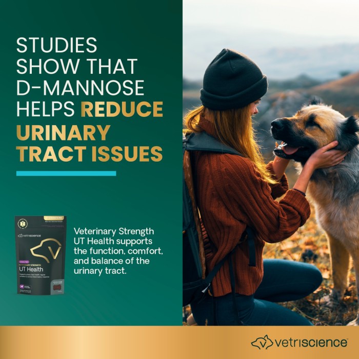Veterinary Strength Urinary Tract Health (UT Strength Pro) Soft Chews for Dogs, 60ct