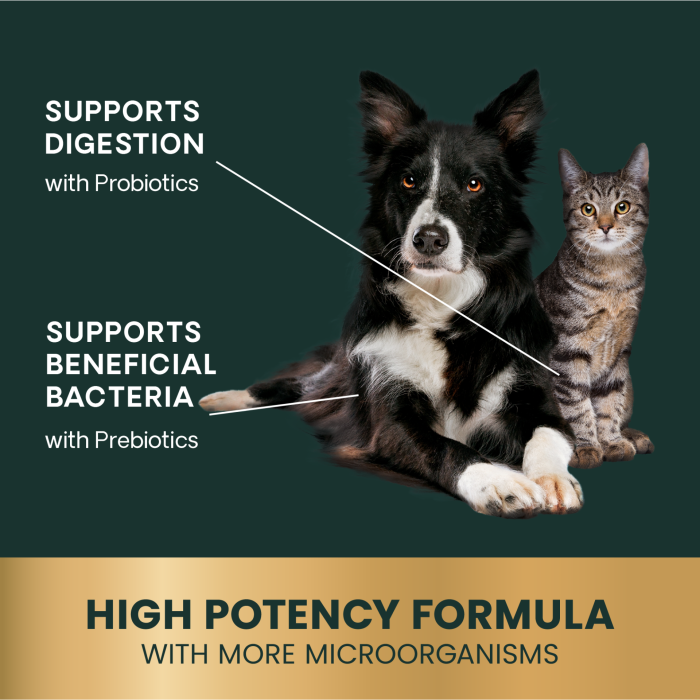 Entero Flora PRO Powder for Cats and Dogs,  60g Jar