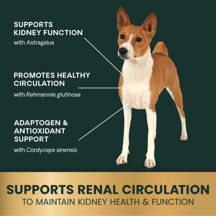 Veterinary Strength Kidney Health Chews for Dogs & Cats, 60ct
