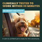 VetriScience Composure Pro Advanced Calming Soft Chews for Dogs & Cats, 45 ct