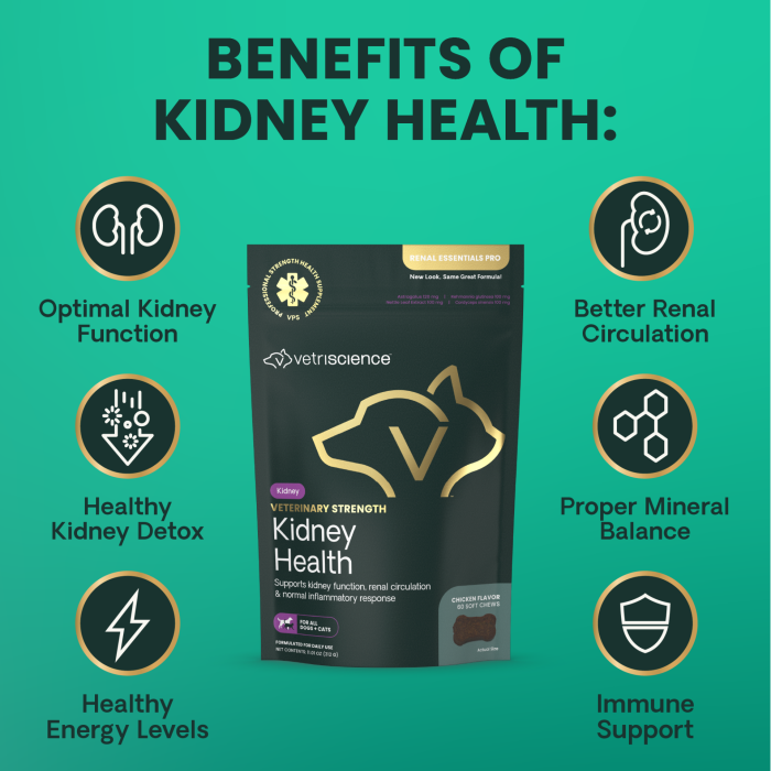 Veterinary Strength Kidney Health Chews for Dogs & Cats, 60ct