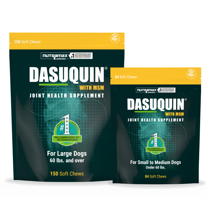 Nutramax Dasuquin with MSM joint health soft chews for dogs, 84 count