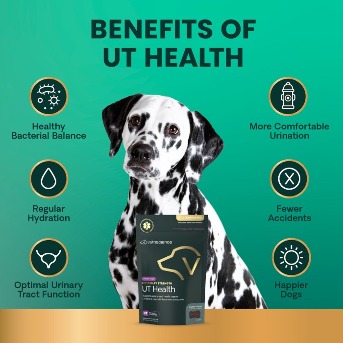 Veterinary Strength Urinary Tract Health (UT Strength Pro) Soft Chews for Dogs, 60ct