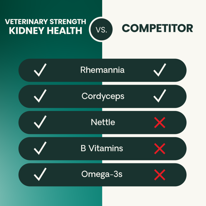 Veterinary Strength Kidney Health Chews for Dogs & Cats, 60ct