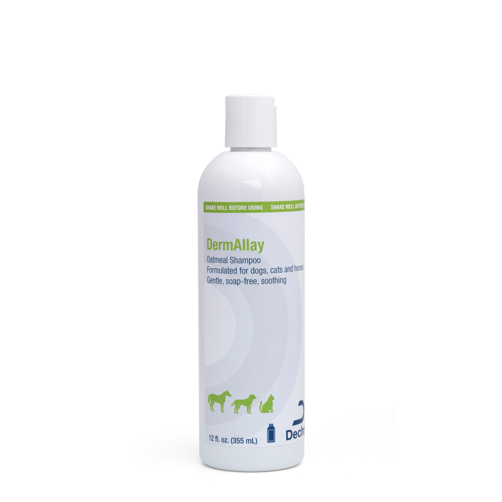 DermAllay Oatmeal Shampoo, 12oz