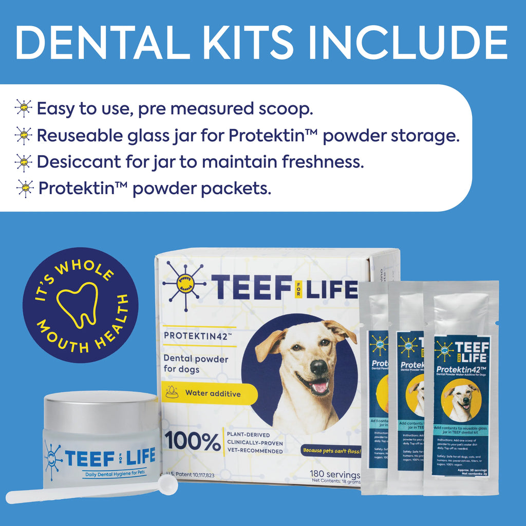 TEEF for Life Protektin42 Kit: Prebiotic Dental Powder for Dogs