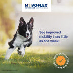 Virbac MovoFlex Advanced Joint Support Soft Chews for Dogs, 60 ct
