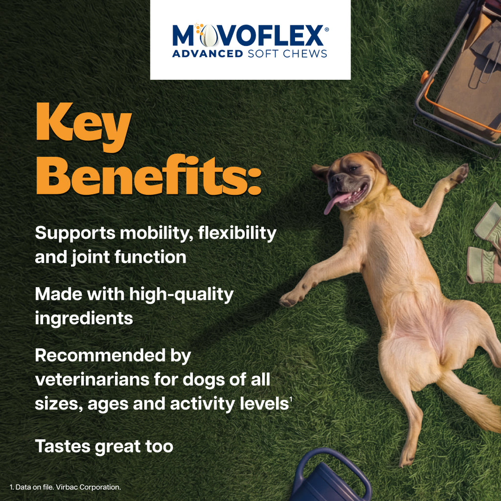 MovoFlex Advanced Joint Support Soft Chews for Dogs, 60ct
