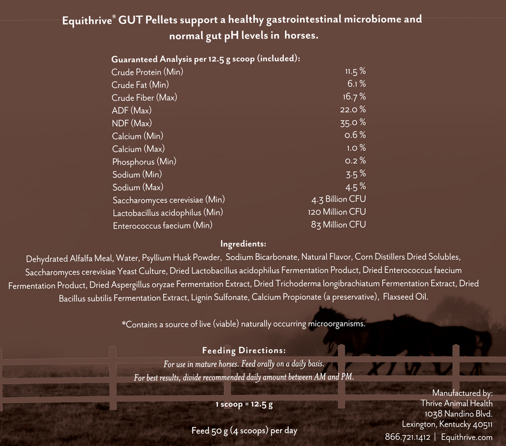 Equithrive Gut Digestive Support Pellets for Horses